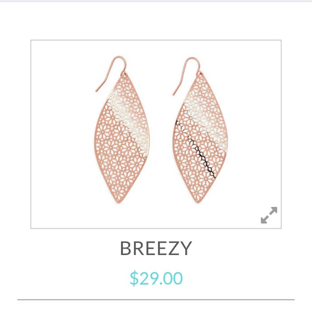 Premier Designs breezy earrings